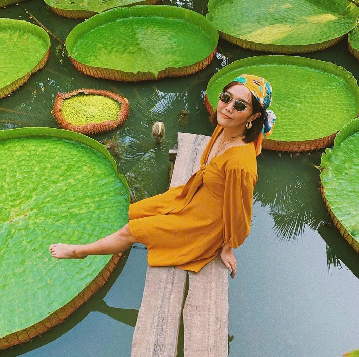 Lịch trình du lịch Cồn Sơn Cần Thơ thích hợp cho mọi du khách