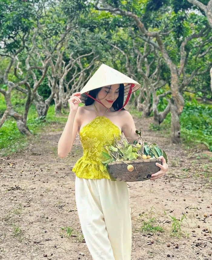 Hái trái cây trực tiếp tại vườn khi Lịch trình du lịch Cồn Sơn Cần Thơ 