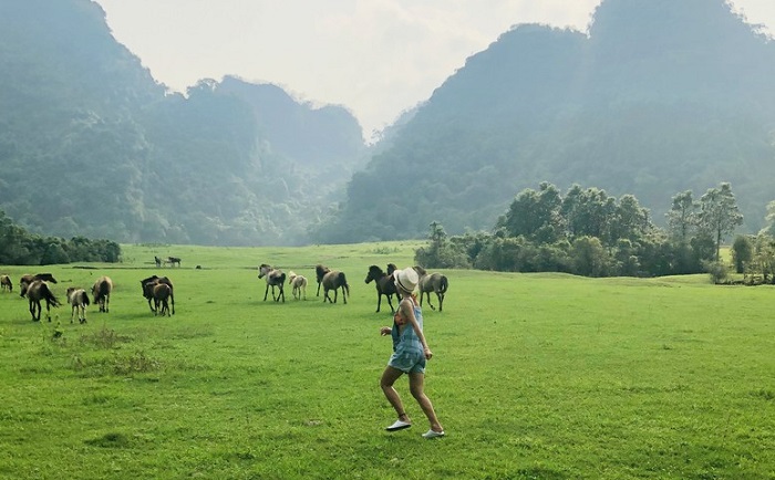 Thảo nguyên Đồng Lâm mùa nào cũng đẹp nhức nách không kém du lịch làng Quỳnh Sơn Lạng Sơn