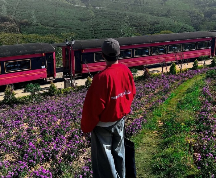 Giá vé vào Vườn Châu Âu Đà Lạt vô cùng hợp lý