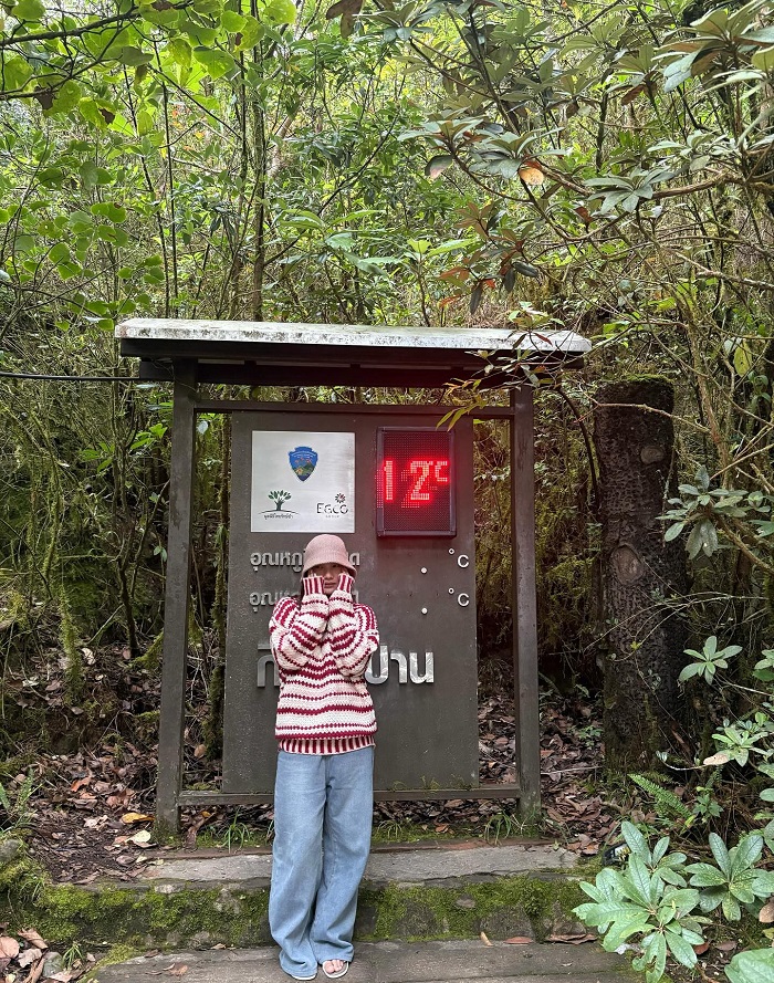 Khám phá rừng nhiệt đới với nhiều loài hoa tại Vườn Quốc gia Doi Inthanon Thái Lan