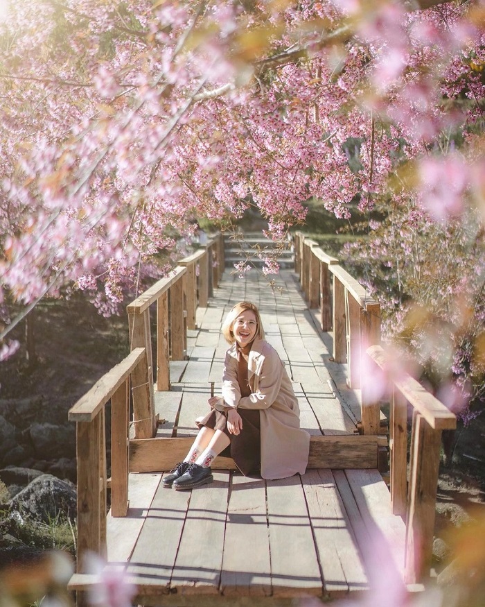 Mùa nào ở Vườn Quốc gia Doi Inthanon Thái Lan cũng đẹp như tranh