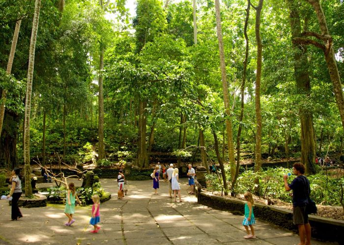 Rừng Khỉ Ubud tại Bali