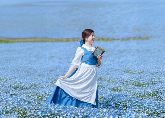 Những cánh đồng hoa đẹp nhất châu Á ngắm mãi không chán