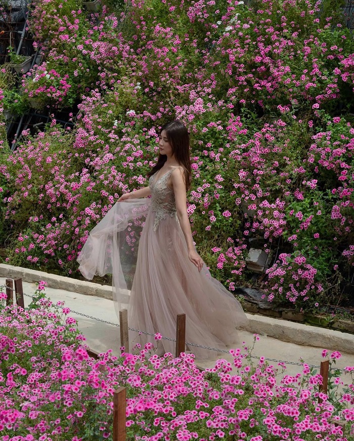 Cameron Highlands Flower Gardens là một trong những cánh đồng hoa đẹp nhất châu Á nằm ở Malaysia