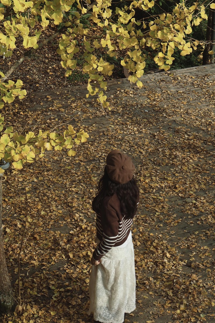 Mùa ngân hạnh ở Sa Pa thường diễn ra vào cuối thu đầu đông