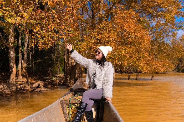 Bạn có thể đi thuyền để ngắm cảnh đẹp ở rừng phong Khe Sanh Quảng Trị