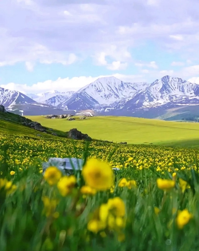 Yili là một trong những thảo nguyên đẹp nhất Trung Quốc mang đến trải nghiệm đáng nhớ