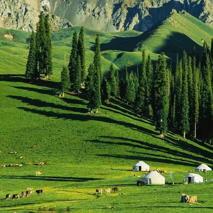 Nalati là một trong những thảo nguyên đẹp nhất Trung Quốc mà bạn nên ghé thăm