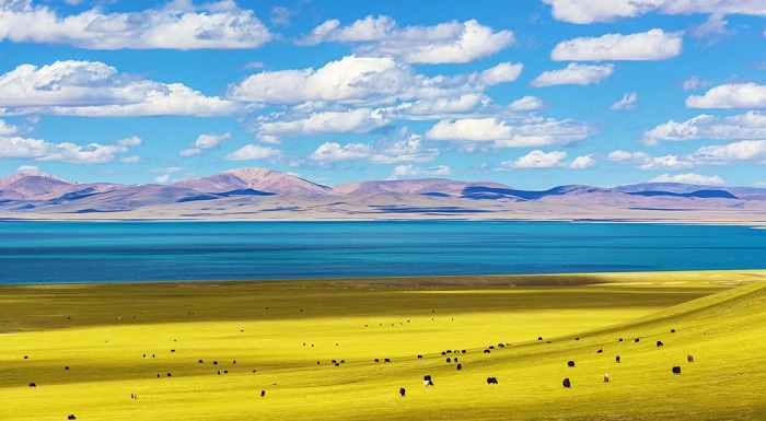 Alpine là một trong những thảo nguyên đẹp nhất Trung Quốc không thể bỏ qua