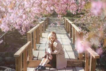 Vườn quốc gia Doi Inthanon Thái Lan: Điểm nhấn của mảnh đất Chiang Mai