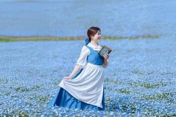 Những cánh đồng hoa đẹp nhất châu Á ngắm mãi không chán