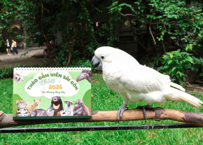 Tuần lễ Văn hóa chào mừng năm mới 2026 tại Thảo Cầm Viên Sài Gòn