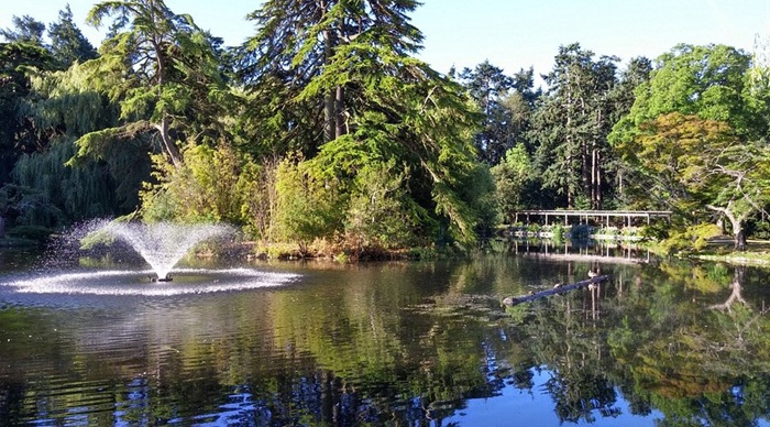 Không gian yên bình của hồ Goodacre - Ảnh: Tripadvisor
