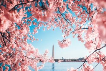 Thắc mắc: Du lịch Mỹ mùa nào đẹp nhất trong năm?