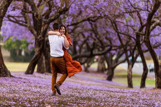 Du lịch Nam Phi mùa nào đẹp nhất? Gợi ý thời điểm lý tưởng cho chuyến đi