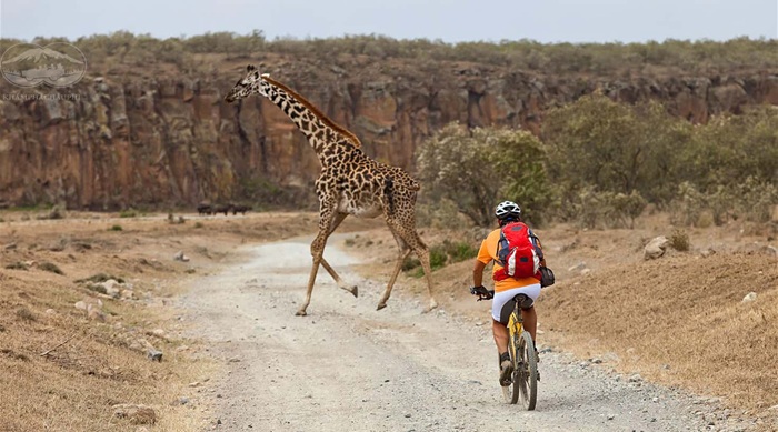 Xách ba lô lên và khám phá châu Phi - Ảnh: Khám Phá Châu Phi